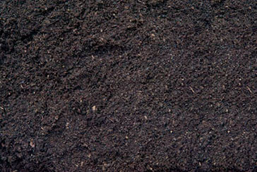 Peat Moss